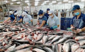 HTX nông lâm thuỷ sản Phong Niên (Lào Cai) liên kết, quảng bá đưa nông sản vươn xa hơn HTX nông lâm thuỷ sản Phong Niên (Lào Cai) liên kết, quảng bá đưa nông sản vươn xa hơn