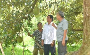 Phần mềm giúp nông dân tiếp cận tiêu chuẩn thị trường nông sản Phần mềm giúp nông dân tiếp cận tiêu chuẩn thị trường nông sản