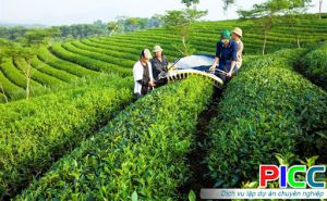 Từ 1/7/2024, Luật Hợp tác xã chính thức có hiệu lực Từ 1/7/2024, Luật Hợp tác xã chính thức có hiệu lực