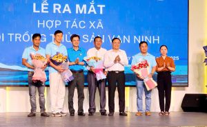 Ra mắt HTX Nuôi trồng thủy sản Vạn Ninh với mô hình nuôi trồng thủy hải sản công nghệ cao Ra mắt HTX Nuôi trồng thủy sản Vạn Ninh với mô hình nuôi trồng thủy hải sản công nghệ cao