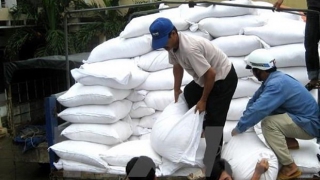 Xuất khẩu gạo đạt trên 7 triệu tấn