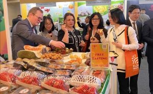 Doanh nghiệp Việt Nam tìm kiếm thêm cơ hội tại Fruit Logistica 2023