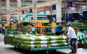 7 tháng, Việt Nam thu hút hơn 16 tỷ USD vốn FDI