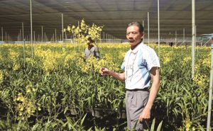 Tiếp sức sáng tạo cho ngành nông nghiệp  Tiếp sức sáng tạo cho ngành nông nghiệp