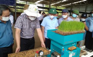 Lúa hữu cơ Quảng Trị nhắm thị trường Âu, Mỹ Lúa hữu cơ Quảng Trị nhắm thị trường Âu, Mỹ
