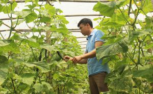 Hợp tác xã Nông nghiệp Xanh của ông chủ người Mường Hợp tác xã Nông nghiệp Xanh của ông chủ người Mường