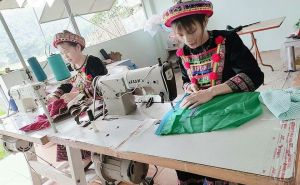 Phụ nữ vùng cao mạnh dạn ứng dụng công nghệ thông tin trong phát triển kinh tế Phụ nữ vùng cao mạnh dạn ứng dụng công nghệ thông tin trong phát triển kinh tế