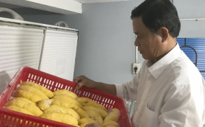 Những người vực dậy hợp tác xã nông nghiệp ở Tiền Giang Những người vực dậy hợp tác xã nông nghiệp ở Tiền Giang