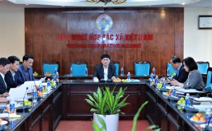 Tăng cường tham mưu cho Thường trực Liên minh Hợp tác xã Việt Nam về chiến lược phát triển kinh tế tập thể, hợp tác xã Tăng cường tham mưu cho Thường trực Liên minh Hợp tác xã Việt Nam về chiến lược phát triển kinh tế tập thể, hợp tác xã