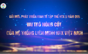 Đổi mới, phát triển kinh tế tập thể HTX 5 năm qua, vai trò của hệ thống Liên minh HTX Việt Nam