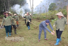 HTX Sinh Dược tổ chức trồng hàng trăm cây Bồ đề nhân dịp Xuân Quý Mão