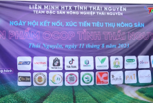 Ngày hội Kết nối, xúc tiến tiêu thụ nông sản – sản phẩm OCOP 
