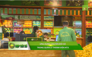 Hợp tác xã phát triển thương hiệu chè trong thời đại 4.0 Hợp tác xã phát triển thương hiệu chè trong thời đại 4.0