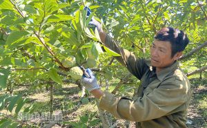 Ninh Bình: Các hợp tác xã tích cực xây dựng nông thôn mới trong thời kỳ hội nhập Ninh Bình: Các hợp tác xã tích cực xây dựng nông thôn mới trong thời kỳ hội nhập