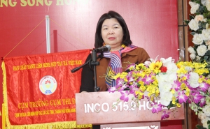 Liên minh Hợp tác xã các tỉnh, thành phố trong Cụm Đồng bằng sông Hồng tổng kết phong trào thi đua năm 2023 và ký kết giao ước thi đua năm 2024