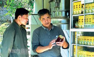 Ninh Bình: Chuyển đổi số tạo động lực cho HTX vươn lên Ninh Bình: Chuyển đổi số tạo động lực cho HTX vươn lên