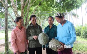 Hòa Bình: Nông dân thi đua sản xuất, kinh doanh giỏi Hòa Bình: Nông dân thi đua sản xuất, kinh doanh giỏi