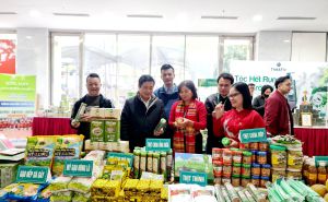 Đồng Nai: Các địa phương cần chủ động hơn trong phát triển hợp tác xã Đồng Nai: Các địa phương cần chủ động hơn trong phát triển hợp tác xã