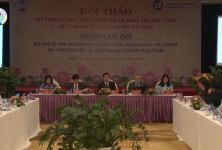 Hội thảo: Xây dựng và phát triển chuỗi giá trị nông sản xuất khẩu - Sự tham gia của khu vực Hợp tác xã Việt Nam