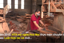 Hiệu quả từ việc chuyển đổi theo Luật Hợp tác xã năm 2012 Hiệu quả từ việc chuyển đổi theo Luật Hợp tác xã năm 2012