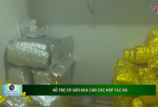 Hỗ trợ cơ giới hóa cho các hợp tác xã Hỗ trợ cơ giới hóa cho các hợp tác xã