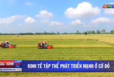 Cần Thơ: Kinh tế tập thể phát triển mạnh ở Cờ Đỏ Cần Thơ: Kinh tế tập thể phát triển mạnh ở Cờ Đỏ