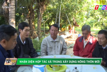 Đồng Tháp: Nhận diện Hợp tác xã trong xây dựng Nông thôn mới | THDT Đồng Tháp: Nhận diện Hợp tác xã trong xây dựng Nông thôn mới | THDT