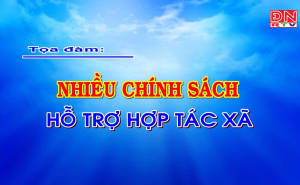 Đồng Nai: NHIỀU CHÍNH SÁCH HỖ TRỢ KINH TẾ HỢP TÁC XÃ Đồng Nai: NHIỀU CHÍNH SÁCH HỖ TRỢ KINH TẾ HỢP TÁC XÃ