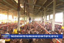 Tháo gỡ khó khăn tiêu thụ nông sản khu vực KTHT, HTX  Tháo gỡ khó khăn tiêu thụ nông sản khu vực KTHT, HTX