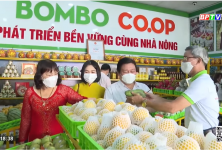 Ra mắt hợp tác xã thương mại dịch vụ Bom Bo Bình Phước