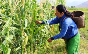 Triển khai đồng bộ các giải pháp giảm nghèo ở Bắc Giang