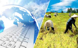 Tăng năng suất và tạo giá trị vượt trội khi áp dụng CNTT vào nông nghiệp Tăng năng suất và tạo giá trị vượt trội khi áp dụng CNTT vào nông nghiệp