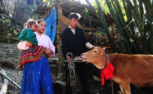 Lạng Sơn: 6 tháng giảm 1,5% tỷ lệ hộ nghèo