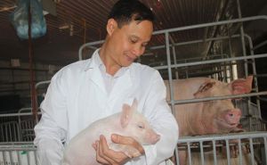 Nuôi lợn sạch công nghệ cao lãi 2 tỷ đồng mỗi năm Nuôi lợn sạch công nghệ cao lãi 2 tỷ đồng mỗi năm