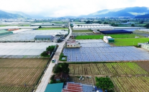 Vựa rau lớn nhất Lâm Đồng sau 5 năm tái cơ cấu nông nghiệp
