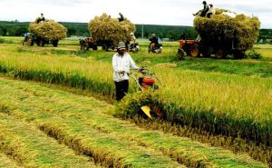 Máy chuyên dùng cho nông nghiệp nào không chịu thuế GTGT? Máy chuyên dùng cho nông nghiệp nào không chịu thuế GTGT?