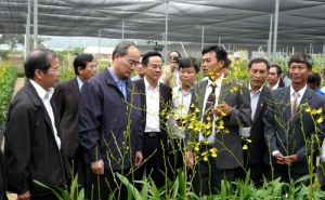 Văn bản Ch_trình phối hợp giữa Mặt trận Tổ quốc Việt Nam với Trung ương các đoàn thể chính trị- xã hội Văn bản Ch_trình phối hợp giữa Mặt trận Tổ quốc Việt Nam với Trung ương các đoàn thể chính trị- xã hội