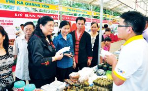 Nâng cao năng lực cho HTX Nâng cao năng lực cho HTX