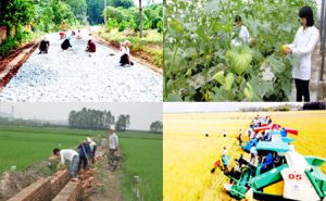 Rà soát, hoàn thiện cơ chế, chính sách xây dựng nông thôn mới Rà soát, hoàn thiện cơ chế, chính sách xây dựng nông thôn mới