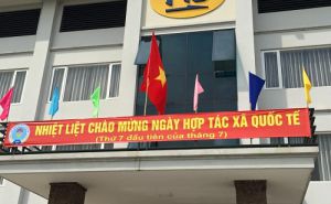VCA: Tổ chức kỷ niệm Ngày Quốc tế HTX VCA: Tổ chức kỷ niệm Ngày Quốc tế HTX