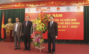 Xây dựng các HTX kiểu mới trong nông nghiệp như thế nào trong giai đoạn 2015-2016 và 2017-2020? Xây dựng các HTX kiểu mới trong nông nghiệp như thế nào trong giai đoạn 2015-2016 và 2017-2020?