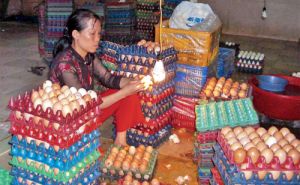 “Mặc áo mới” cho nhiều vùng nông thôn “Mặc áo mới” cho nhiều vùng nông thôn