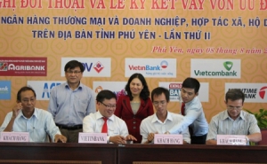 Phú Yên: 5 NHTM tài trợ gần 142 tỷ đồng cho DN, HTX trên địa bàn