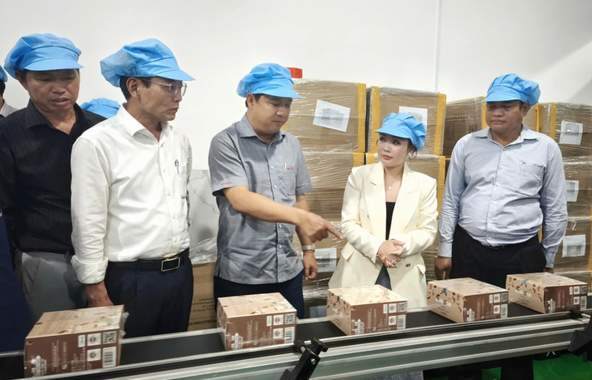 Bí thư Đắk Lắk đi tận vườn, chốt 3 đòn bẩy cho hợp tác xã nông nghiệp bứt tốc