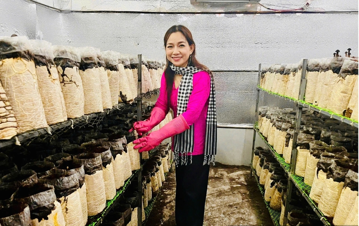 Biến rơm rạ thành “vàng”: Nữ giám đốc hợp tác xã thu 20 tấn nấm mỗi năm