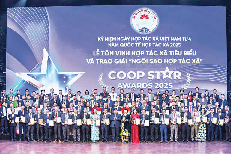 Đổi mới mô hình hợp tác xã Việt Nam: Xây dựng hệ sinh thái phong phú và vững mạnh
