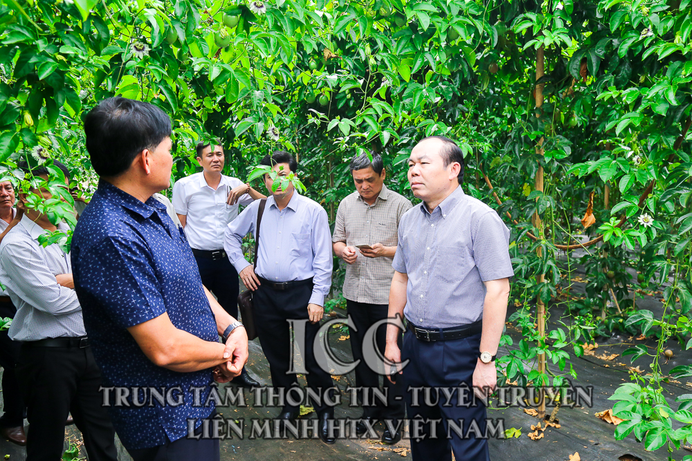 Chủ tịch Nguyễn Ngọc Bảo và đoàn công tác làm việc tại Đăk Nông
