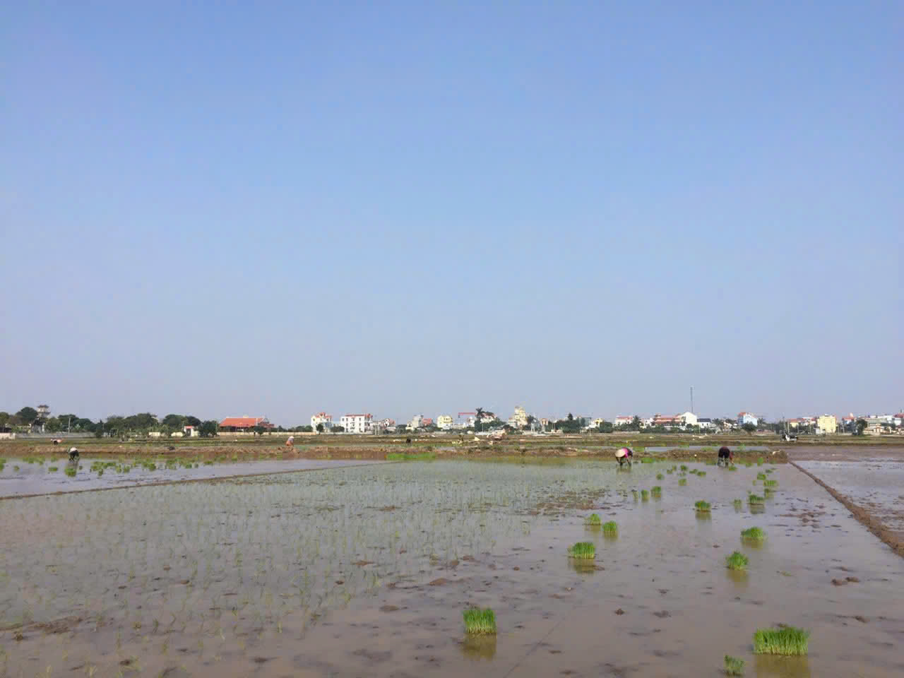 Tiếp tục triển khai Nghị quyết 19-NQ/TW ngày 16/6/2022 về nông nghiệp, nông dân, nông thôn đến năm 2030, tầm nhìn 2045.