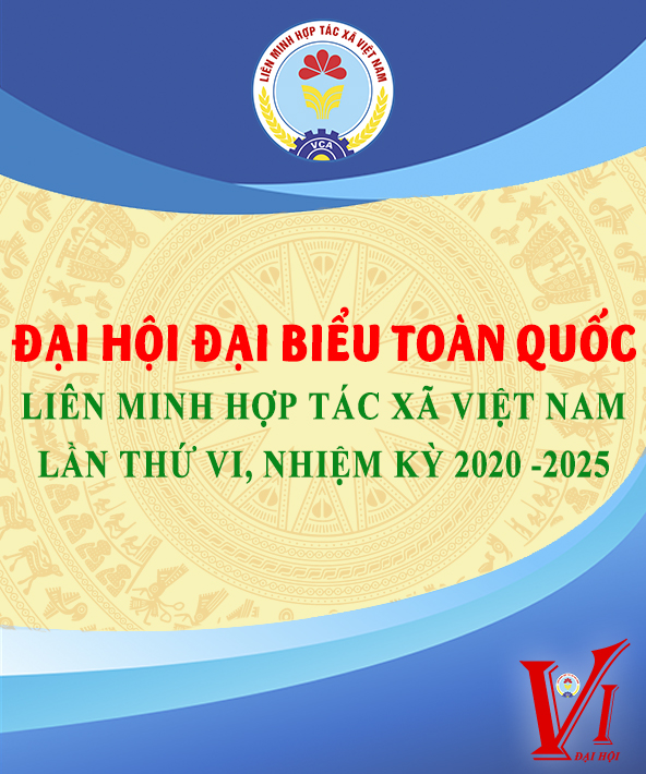 Đại hội 6 