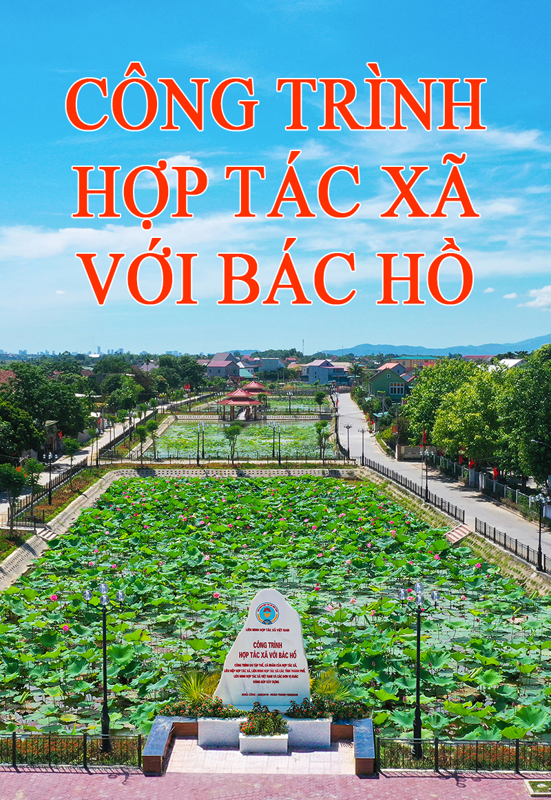 HTX VOI BAC HO 